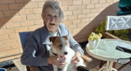 Great grandmother Pat, who had to wait more than 24 hours for a hospital bed after a fall.