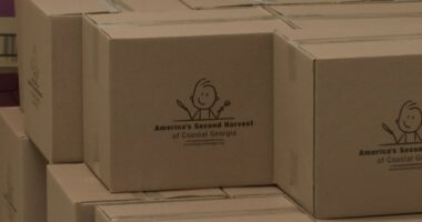 Gulfstream, CEMA, and Second Harvest pack 5,000 disaster relief food boxes ahead of hurricane season