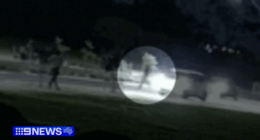 Gun 'missing' after terrifying shooting on Adelaide street