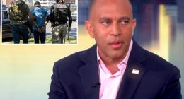 Hakeem Jeffries tells 'The View' ICE is going after 'law-abiding immigrant families'