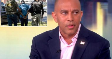 Hakeem Jeffries tells 'The View' ICE is going after 'law-abiding immigrant families'