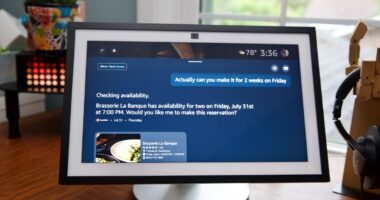 Hands-on with Alexa Plus’s AI agent features