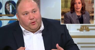 Harris aide urged 'The View' hosts to ask again after VP flubbed question on differences with Biden