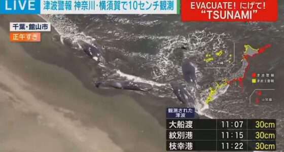 2025 japan earthquake movie