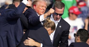 Here's What We've Learned About Those Multiple Suspended Secret Service Agents
