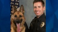 Hero Police Officer Sean Houle Shot in Face, Survives to Help Save Drowning Victim