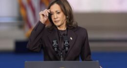 Hilarious: Book Sheds New Light on Kamala Campaign's 'Tailspin' Over McDonald's Employment Claims