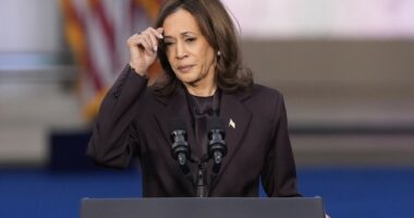 Hilarious: Book Sheds New Light on Kamala Campaign's 'Tailspin' Over McDonald's Employment Claims