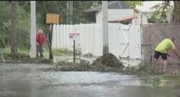 Hillsborough leaders review lessons from 2024 hurricane season