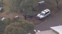 Aerial view of a police vehicle at a zoo after a reported attack.