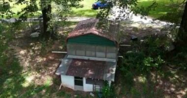 Authorities in Bibb County uncovered a child sex ring involving at least six children, with the youngest victim only three years old, in an underground storm shelter near a home in Brent.