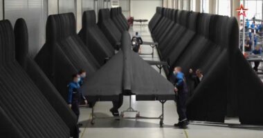Person inspecting a large, dark-colored aircraft wing.