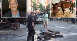 Horse carriage driver bursts into tears after jurors reach verdict in 'Ryder' abuse case