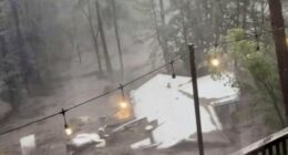 House swept away as flash flooding hits mountain village in New Mexico