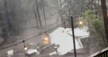 House swept away as flash flooding hits mountain village in New Mexico
