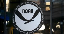 How NOAA cuts could affect you