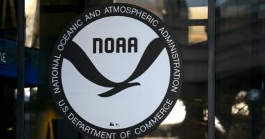 How NOAA cuts could affect you
