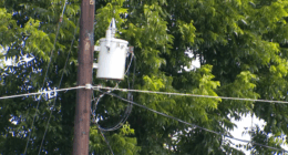 How are energy companies in South Carolina preparing for hurricane season?