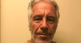 How many voters really care about Jeffrey Epstein?