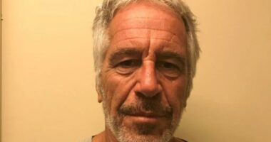 How many voters really care about Jeffrey Epstein?