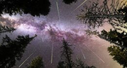 Stargazers have the chance to see a spectacular meteor show this week.﻿