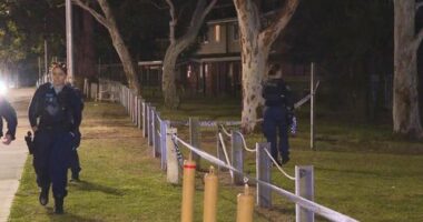 Police are appealing for witnesses to come forward after a girl was hit and ï»¿run over by a dirt bike in Sydney's far south-west yesterday.