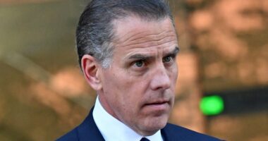 Hunter Biden, who denied that the bag of cocaine in the White House was his