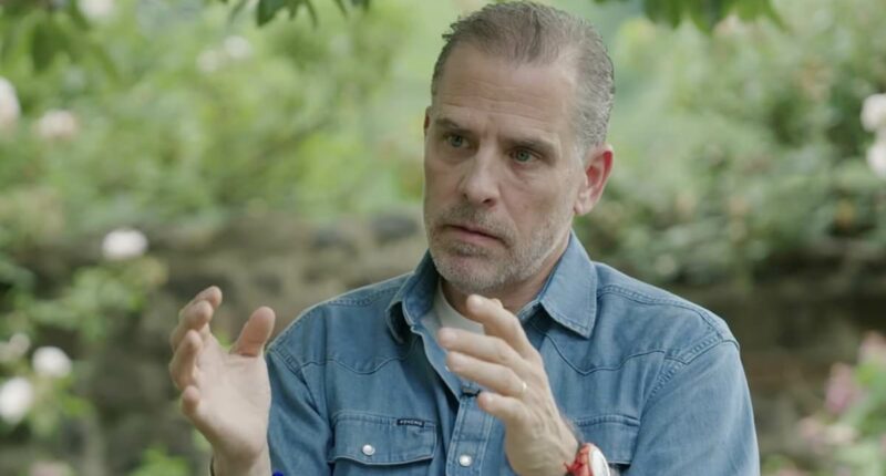 Hunter Biden says Joe's use of Ambien fueled his disastrous debate