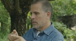 Hunter Biden unleashes on George Clooney and Democrats critical of Joe