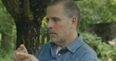 Hunter Biden unleashes on George Clooney and Democrats critical of Joe