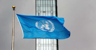 ICC believes war crimes and crimes against humanity are taking place now in Sudan's Darfur region