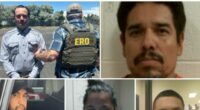 ICE Nabs 243 Illegal Aliens in 9-Day Denver Operation