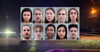 ICE agents targeted in 2 ambush attacks in recent days