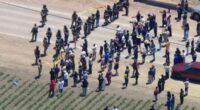 ICE protester opens fire on agents at California cannabis farm clash