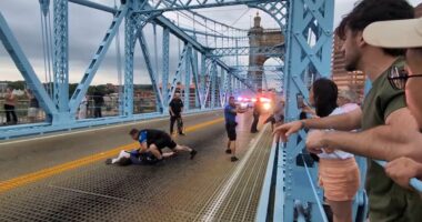 ICE raid sparks pandemonium as cops batter agitators blocking bridge