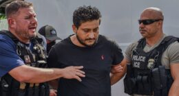 ICE removes airplane hijacker among 1,361 violent criminals in Houston sweep