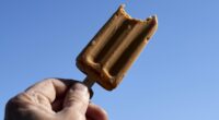 Ice cream bars in 23 states are recalled over contamination