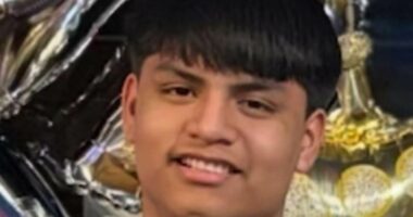 Illegal migrant 'murdered boy, 15, after trying to rape his mother'