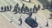 Immigration operation at California cannabis farms leads to clash between federal agents and protesters