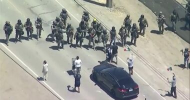 Immigration operation at California cannabis farms leads to clash between federal agents and protesters