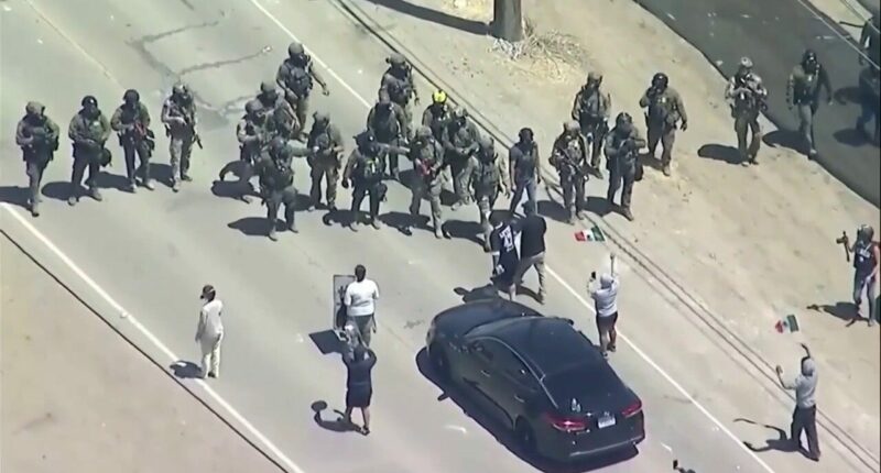 Immigration operation at California cannabis farms leads to clash between federal agents and protesters