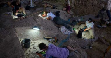 In a cave in Israel, 100,00-year-old bones tell a story about the origins of burial rites