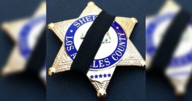 Incompetence: LA County Sheriff Admits One of the Grenades Linked to Fatal Blast Is 'Unaccounted For'