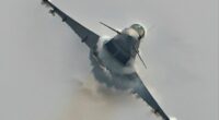 Photo of a seagull colliding with a Eurofighter jet.
