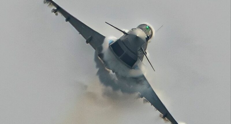 Photo of a seagull colliding with a Eurofighter jet.
