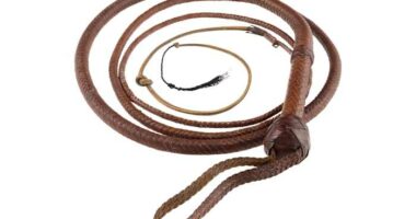 Indiana Jones whip snaps up $525,000 at auction after 'Citizen Kane' sled goes for $14.75 million