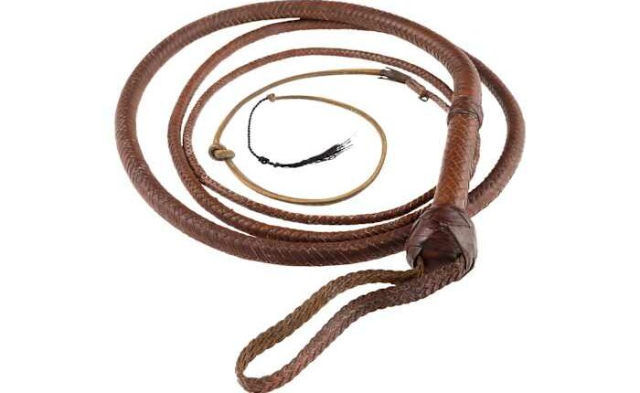 Indiana Jones whip snaps up $525,000 at auction after 'Citizen Kane' sled goes for $14.75 million