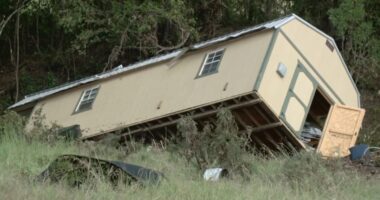 Ingram family dog makes her way back home days after floodwaters consumed house