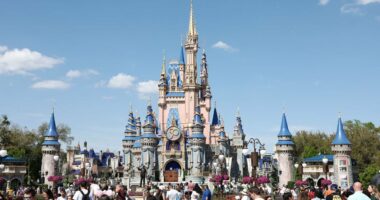 Inside new Disney adult dating app designed to connect theme park fans