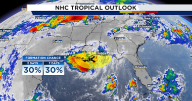 Invest 93L Lingers Near Gulf Coast, Raising Flood Concerns